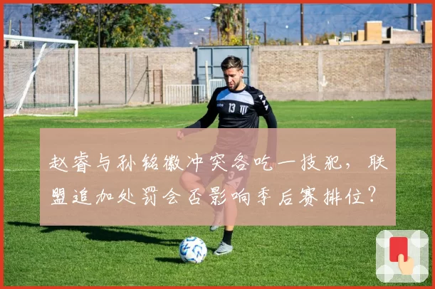 赵睿与孙铭徽冲突各吃一技犯，联盟追加处罚会否影响季后赛排位？